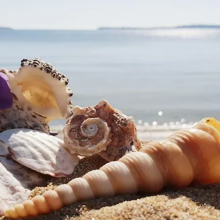 Morning Star Deluxe Апартаменты *