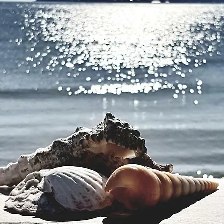 Morning Star Deluxe Апартаменты *