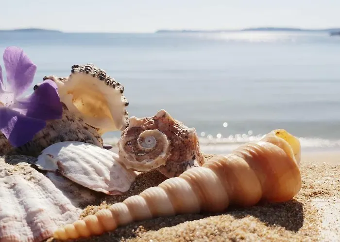 Morning Star Deluxe Apartamento *