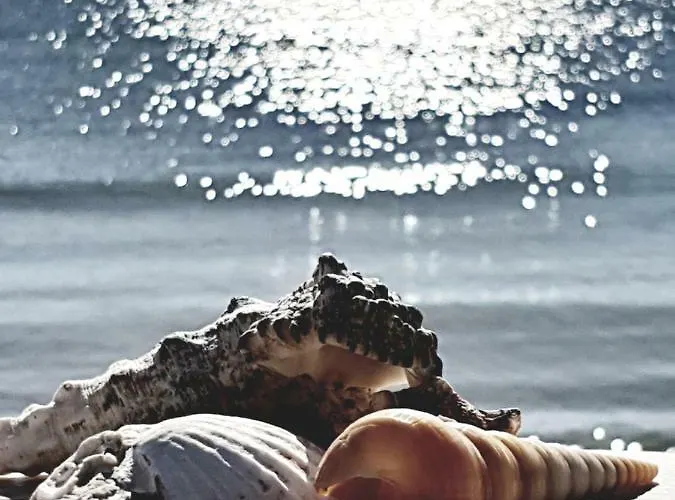 Morning Star Deluxe Apartamento *