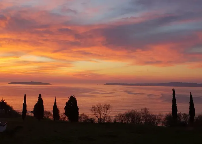 Morning Star Deluxe Chernomorets